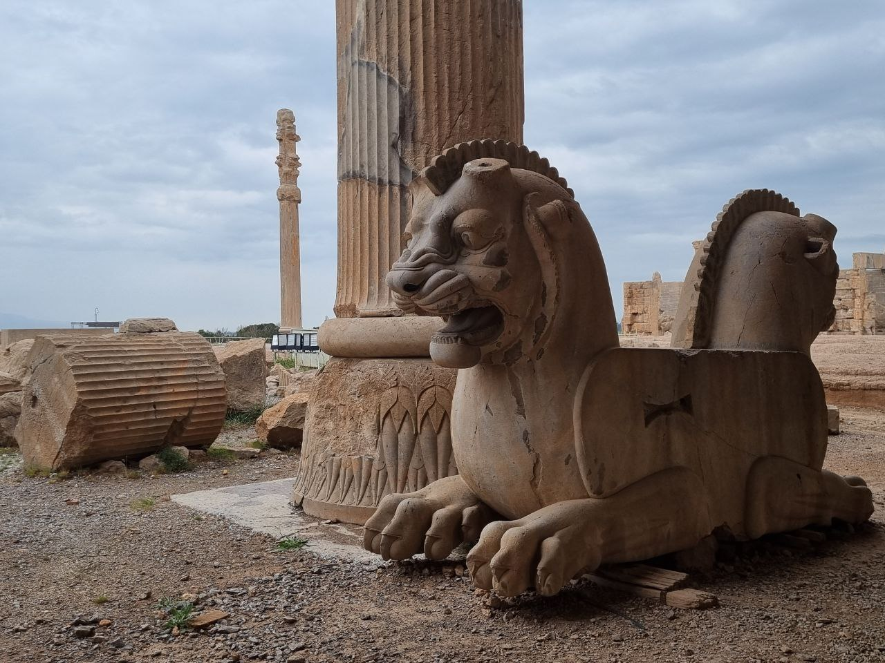 Persepolis — carved animal capitals among the columns.
