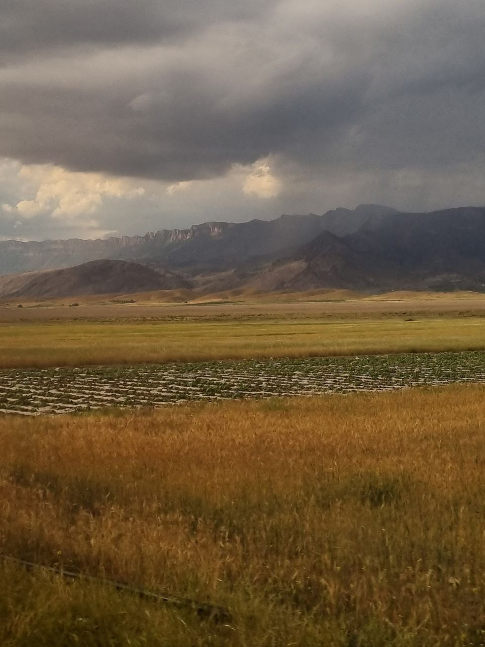 Clouds and shifting light over the plain during the bus excursion.