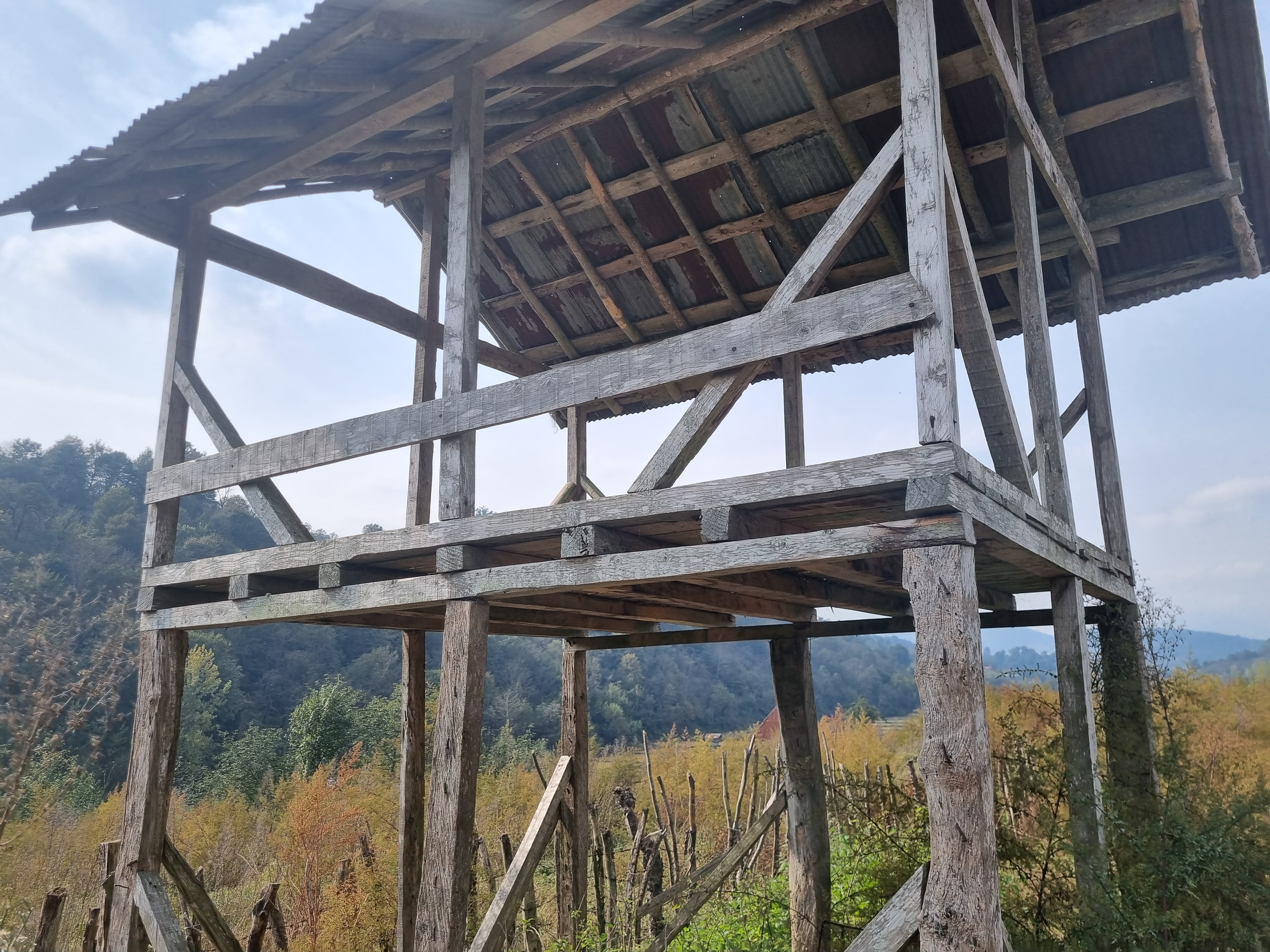 Raised timber floor, posts and diagonal bracing