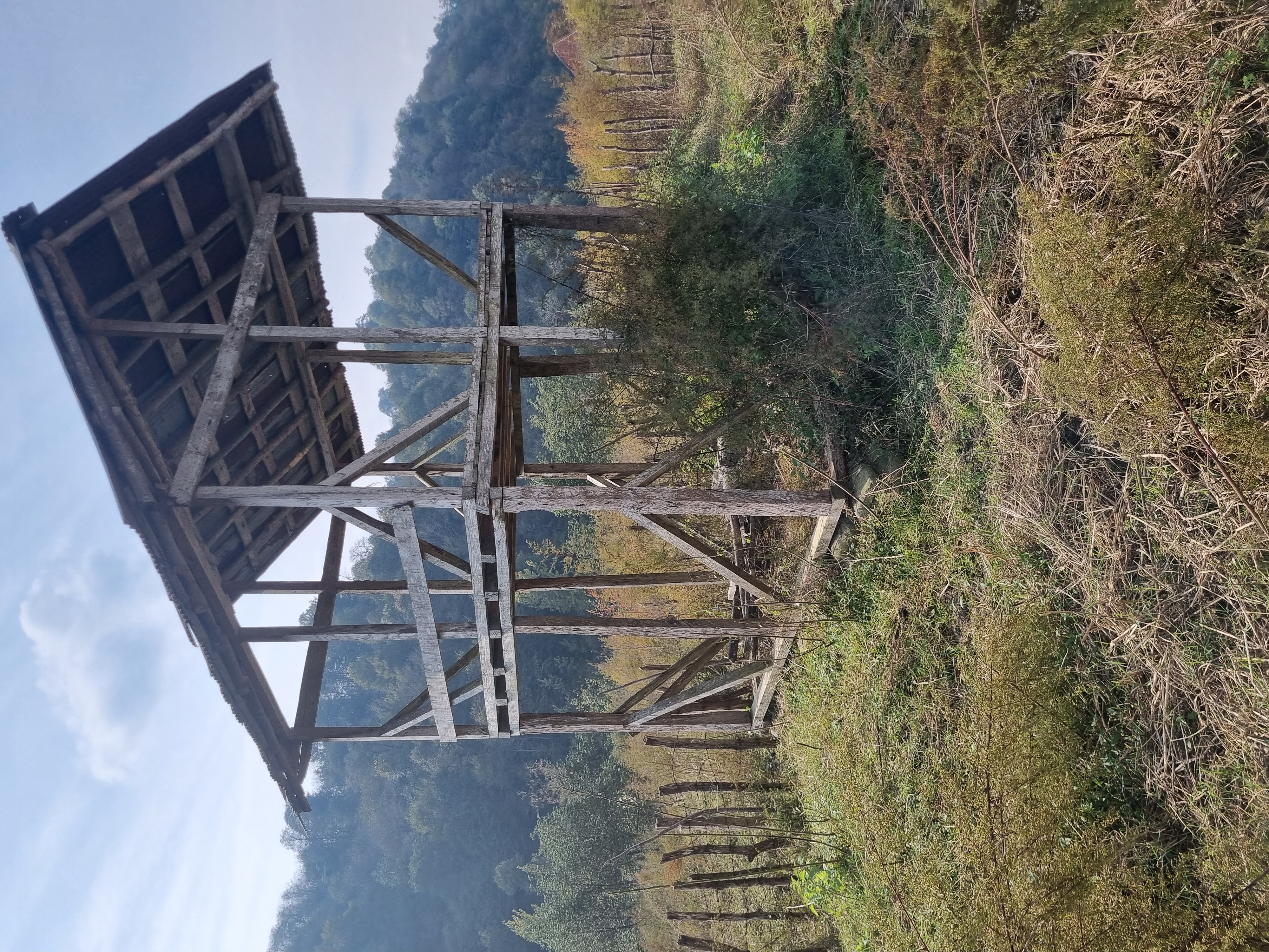 Original field photograph of an exposed raised gable-roof Nefar