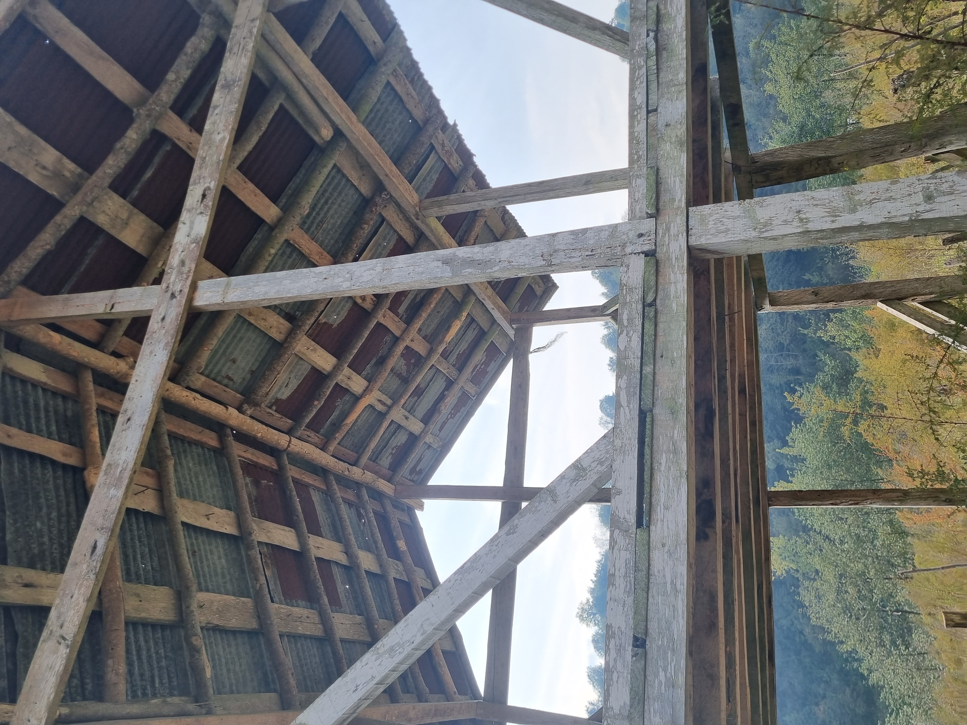 Underside of the pitched roof and exposed timber framing
