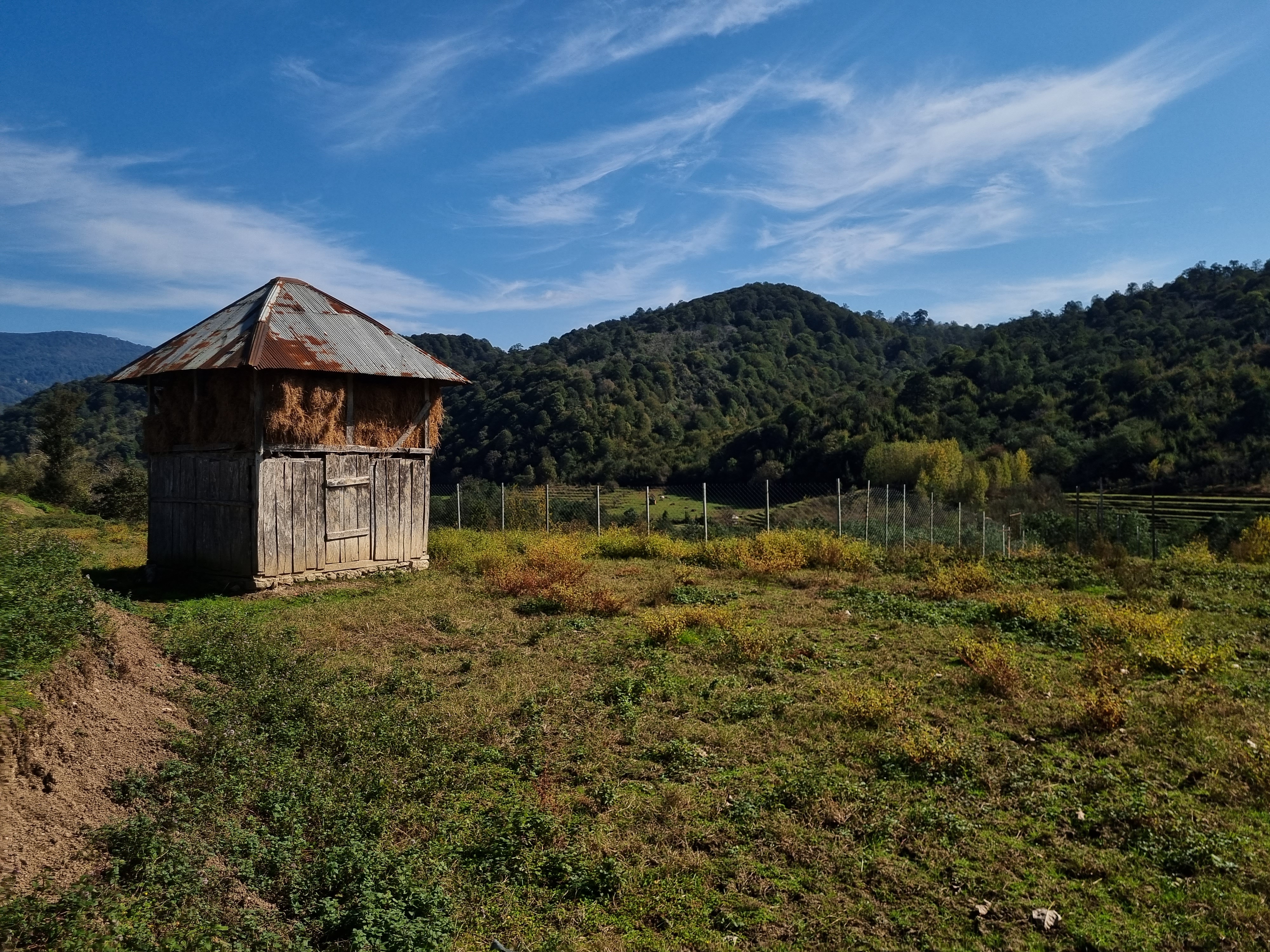 Enclosed hipped-roof Nefar in its field setting