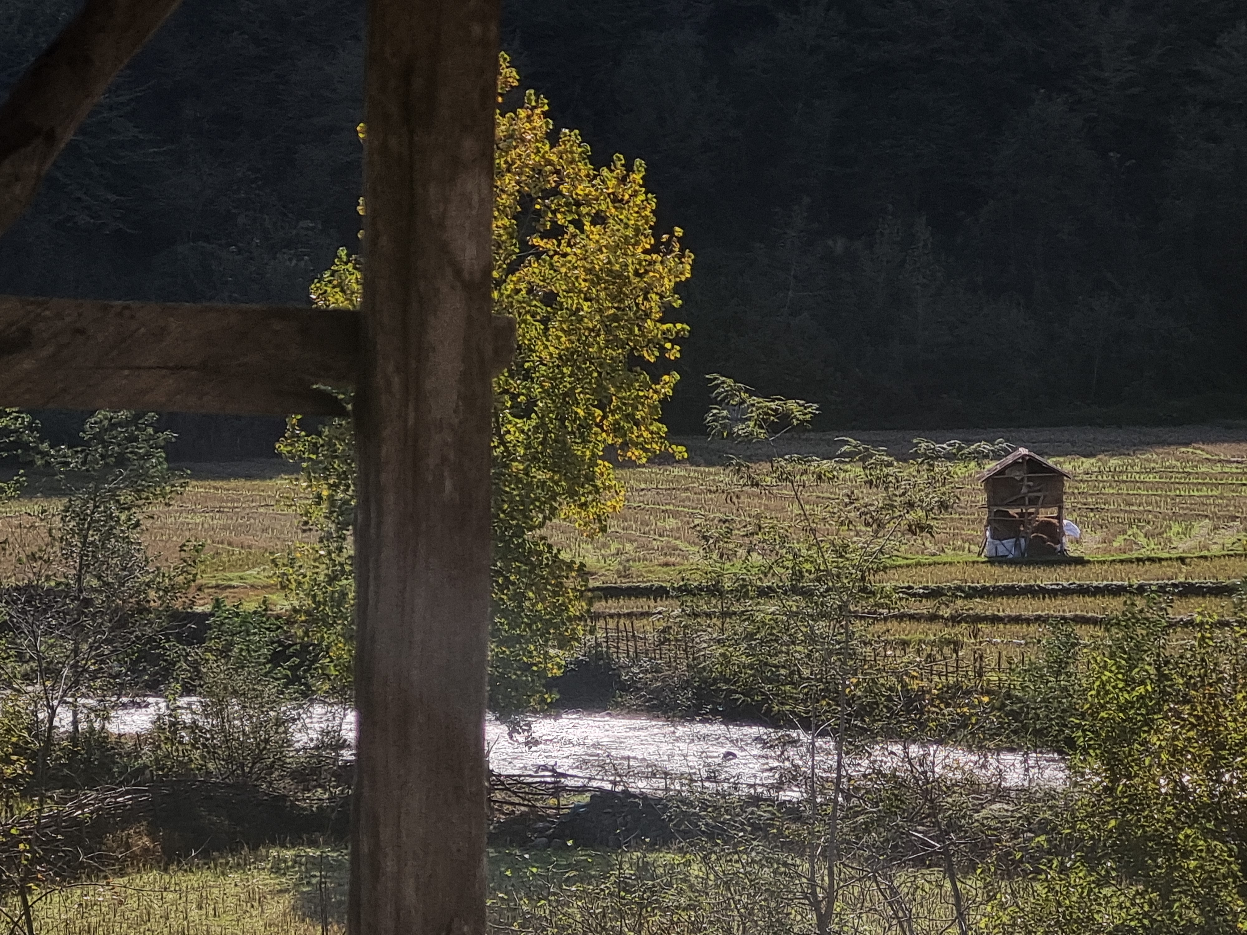 Distant field view of a small timber structure across a stream