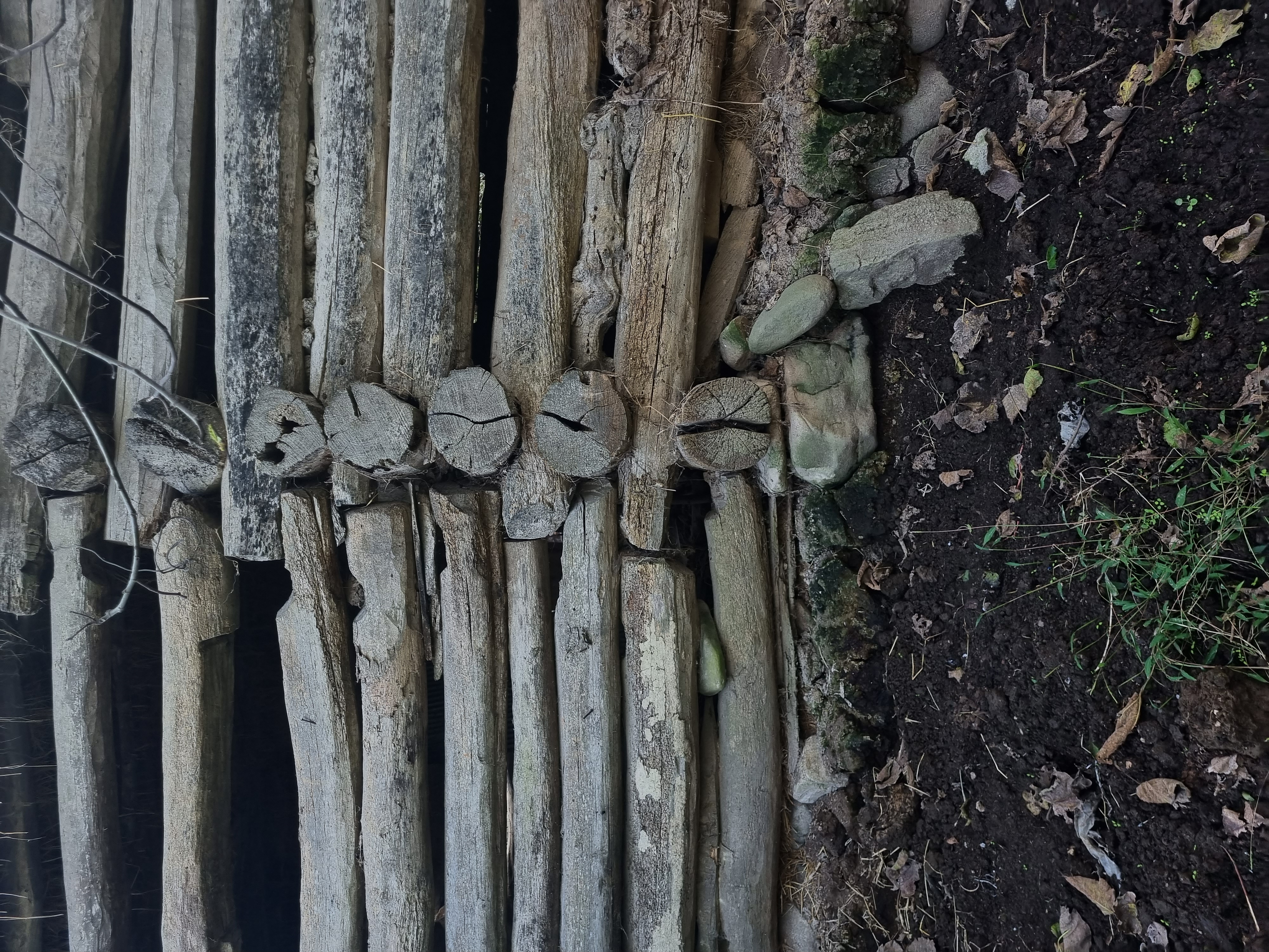 Close field view of the exposed log ends and stone bearing at Telar