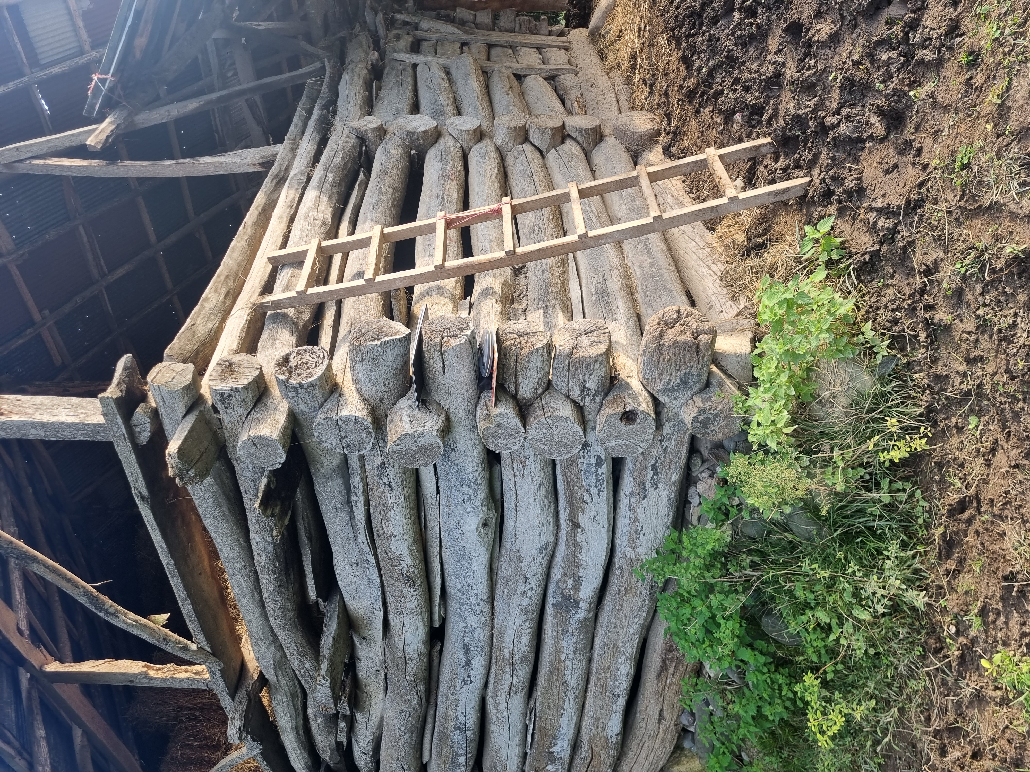 Telar timber log wall corner with a ladder at the field site