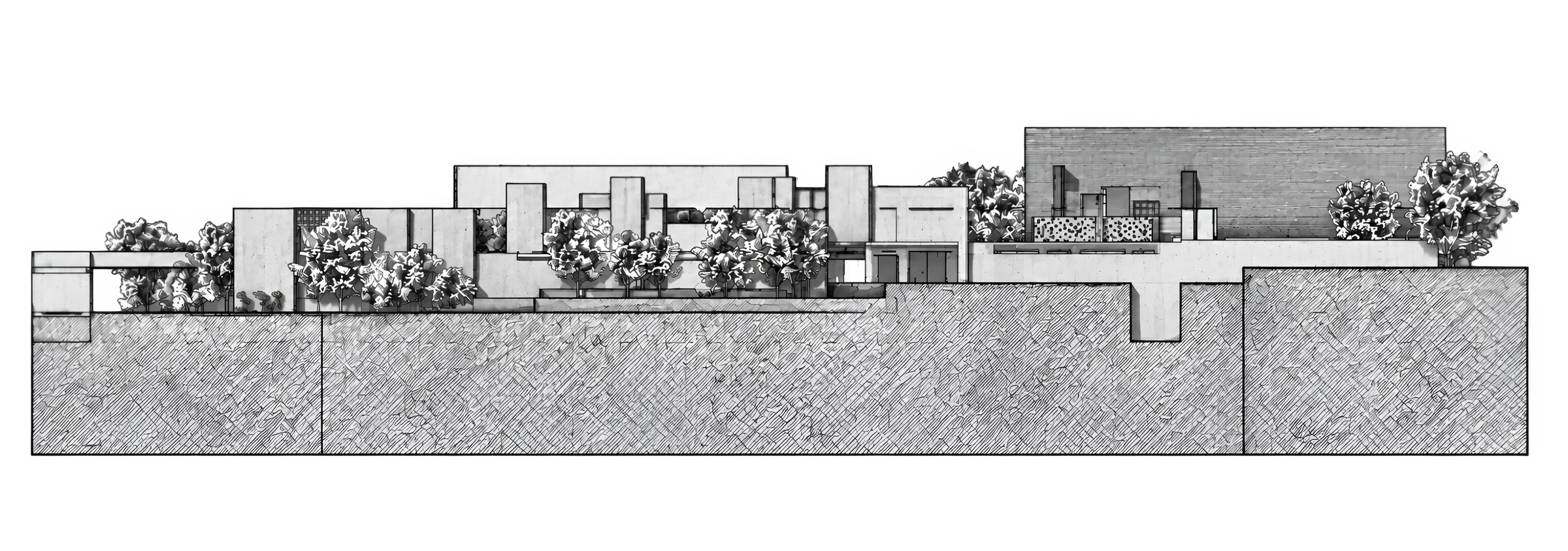 Original monochrome east elevation of Oasis, showing terraces, planting and roof profiles
