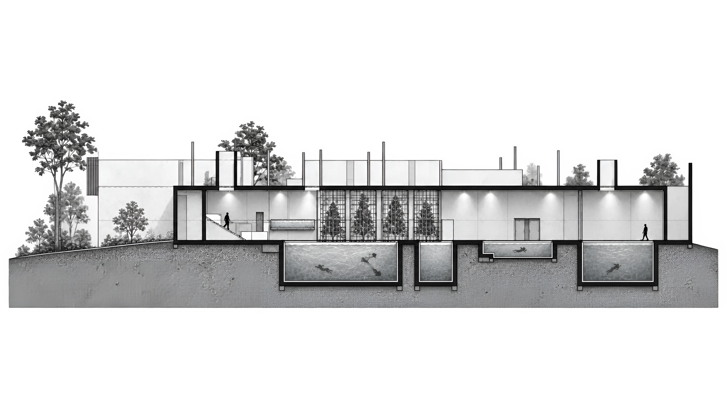 Original monochrome section through the aquatic hall, pools and planted light wells