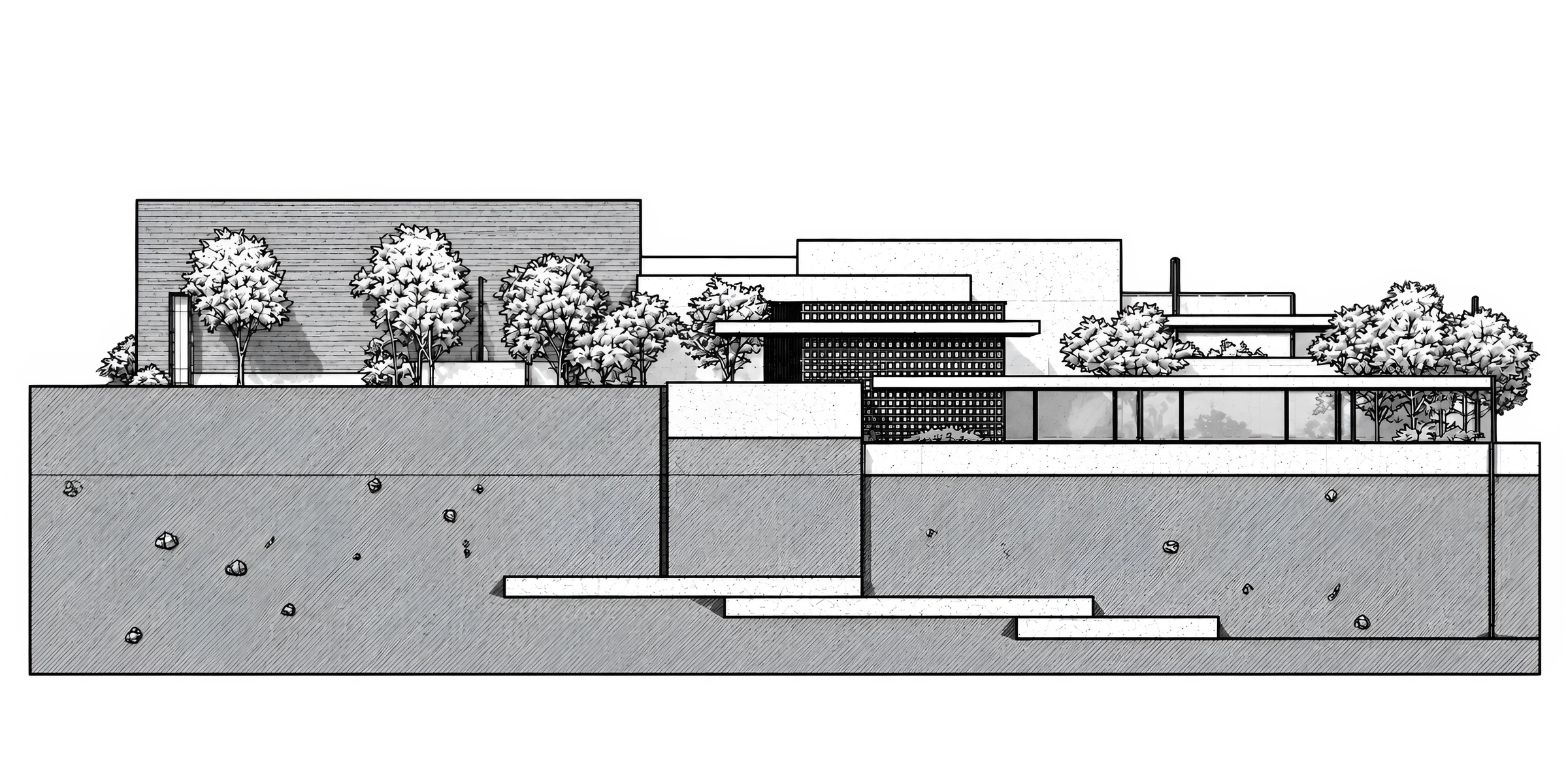 Original monochrome west elevation of Oasis, showing the lower entrance and planted roof